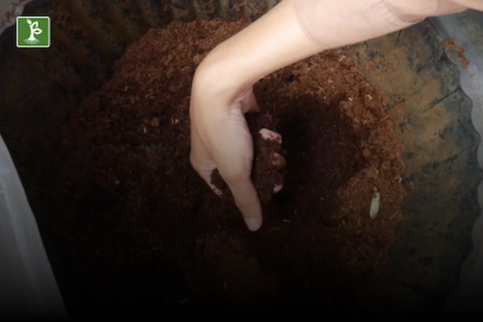 manure organic fertilizer